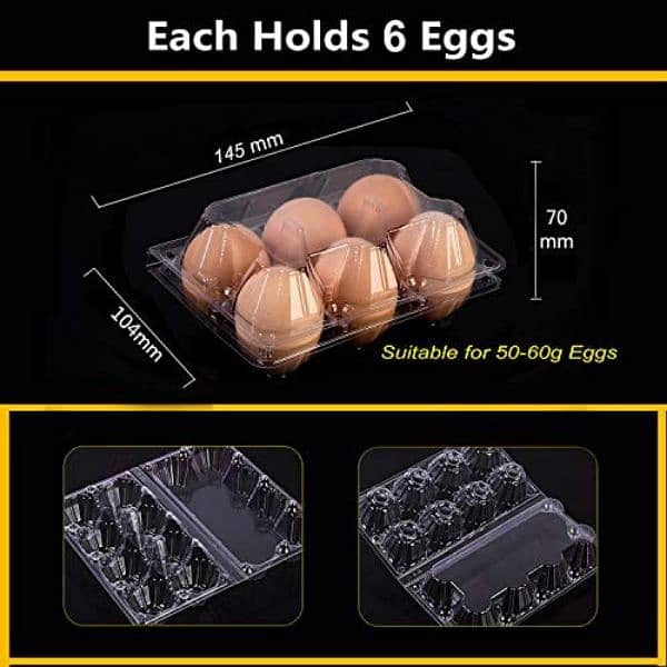 Plastic Egg Tray locks wali 3