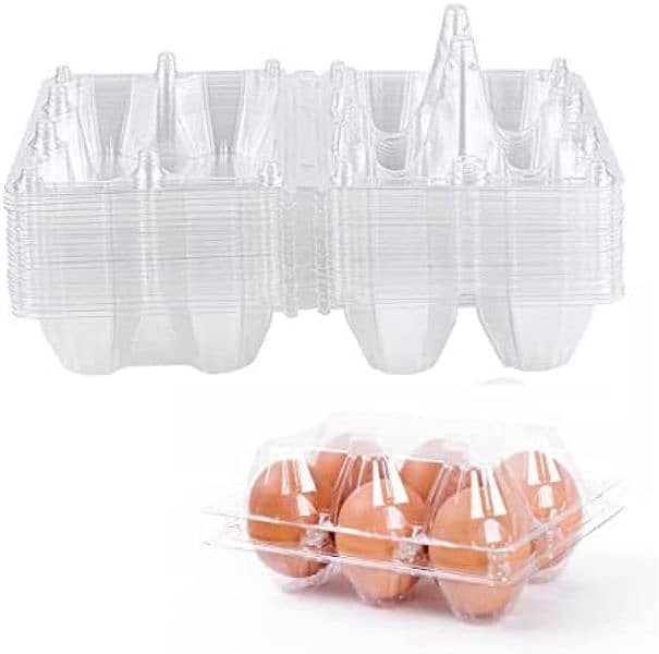 Plastic Egg Tray locks wali 9
