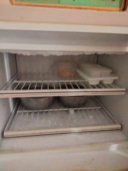 fridge 1