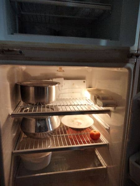 fridge 2