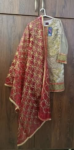 3 Piece Fancy Dress, Net Shirt With Ourganza Dupatta And Trouser 0