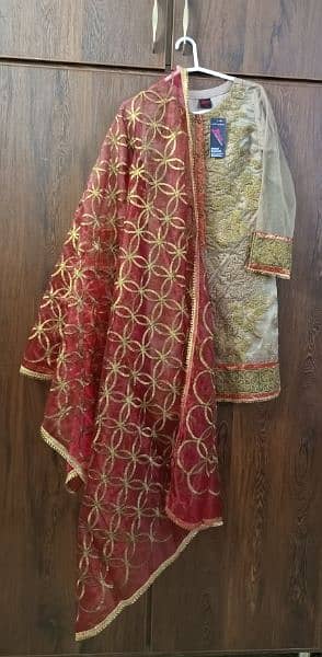 3 Piece Fancy Dress, Net Shirt With Ourganza Dupatta And Trouser 0