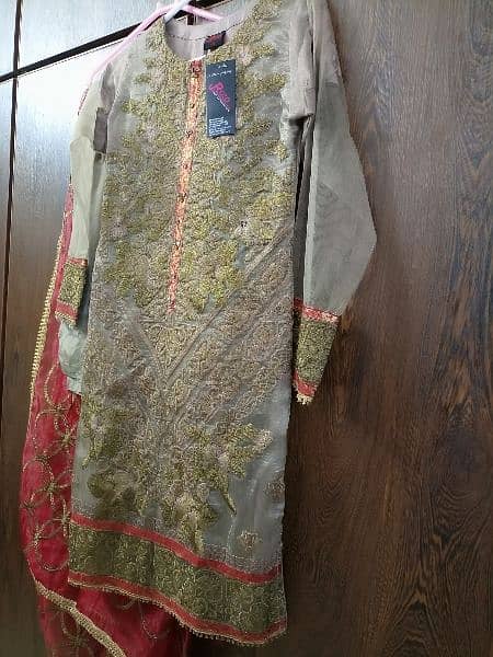 3 Piece Fancy Dress, Net Shirt With Ourganza Dupatta And Trouser 1
