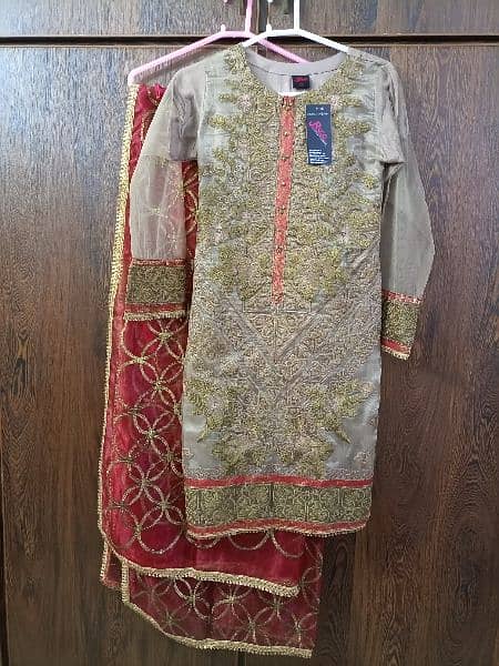 3 Piece Fancy Dress, Net Shirt With Ourganza Dupatta And Trouser 3