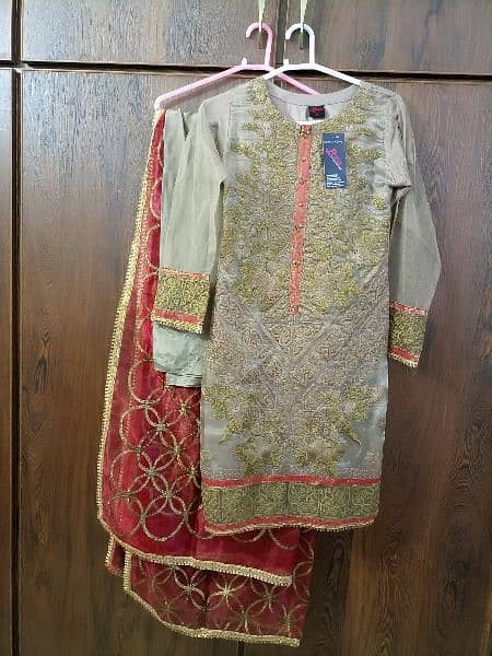 3 Piece Fancy Dress, Net Shirt With Ourganza Dupatta And Trouser 4