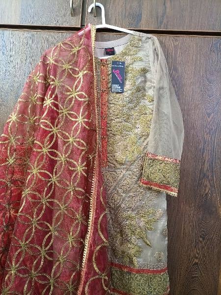 3 Piece Fancy Dress, Net Shirt With Ourganza Dupatta And Trouser 5