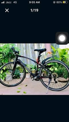 olx giant cycle