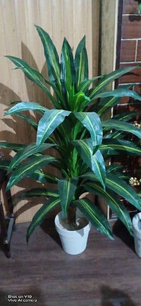 Planter, Artificial indoor plants. Delivery Available see pictures 10