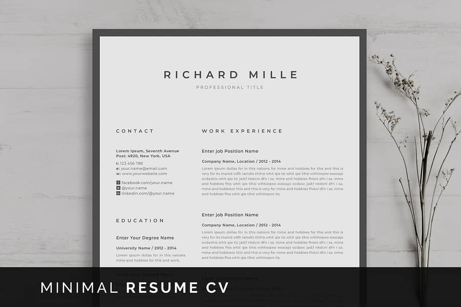 Writing CV, Resume, CV Maker - CV Designer Professional - Cover Letter 1