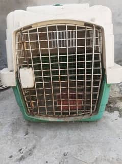 cage for cats olx