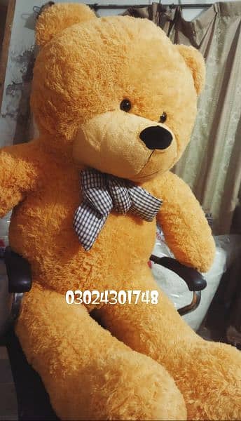 Teddy bears | Gaint size | huggable | jumbo imported teddy bears 1