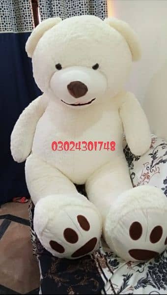 Teddy bears | Gaint size | huggable | jumbo imported teddy bears 6