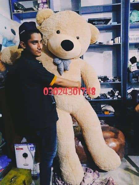 Teddy bears | Gaint size | huggable | jumbo imported teddy bears 10