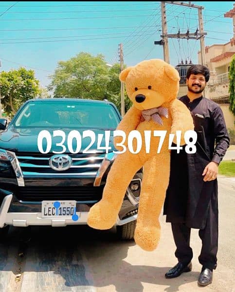 Teddy bears | Gaint size | huggable | jumbo imported teddy bears 12