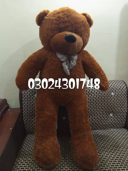 Teddy bears | Gaint size | huggable | jumbo imported teddy bears 13