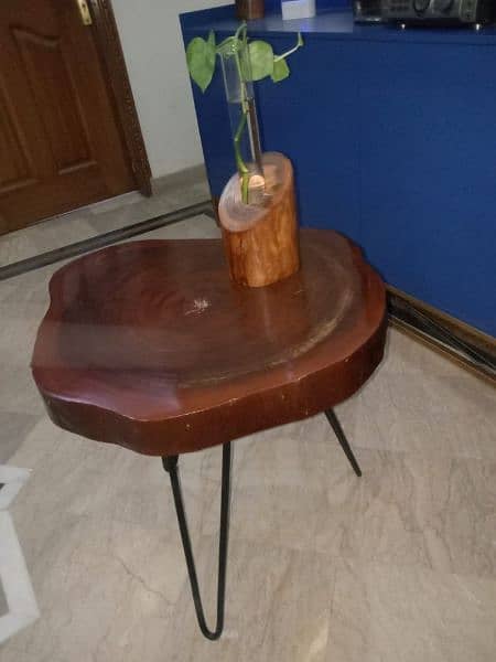 Coffee Table (Live Edge) 1