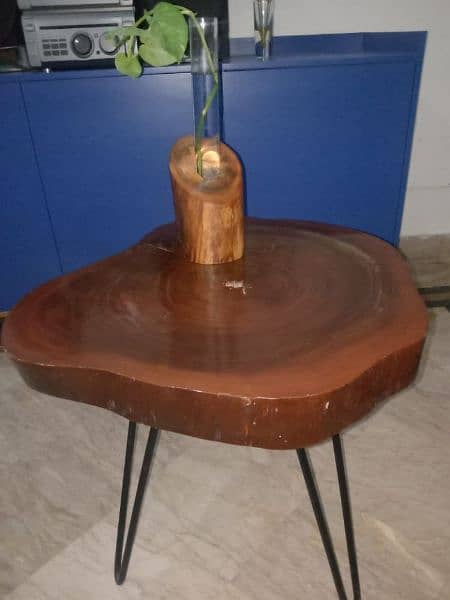 Coffee Table (Live Edge) 2