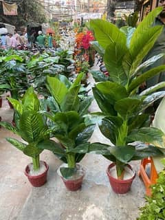 New artificial and washable banana plants