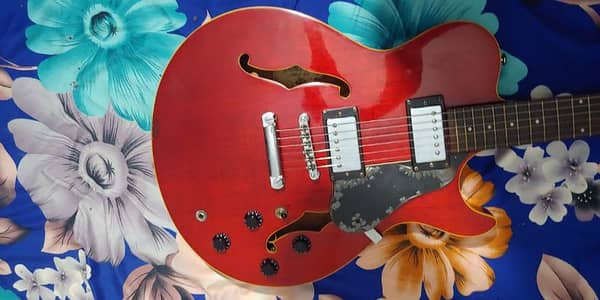 greg bennett signature series electric guitar hollow body