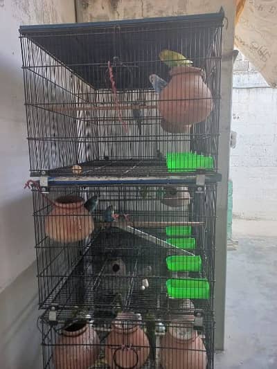 budgies cage for sale olx