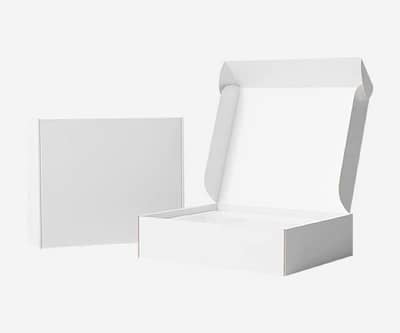 Mailer box