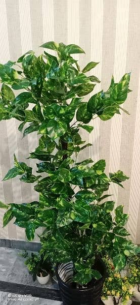 indoor Artificial plants ,  A+ quality. Delivery Available in Lahore 11