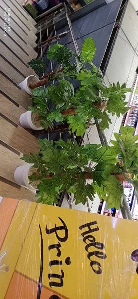 indoor Artificial plants ,  A+ quality. Delivery Available in Lahore 15