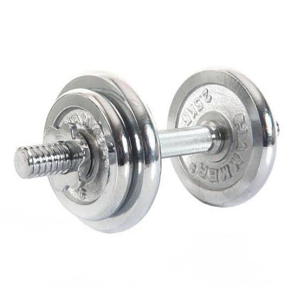 Dumbble weight plates 0