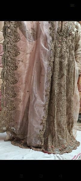 walima Maxi 1