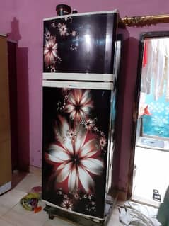 fridge/freezer