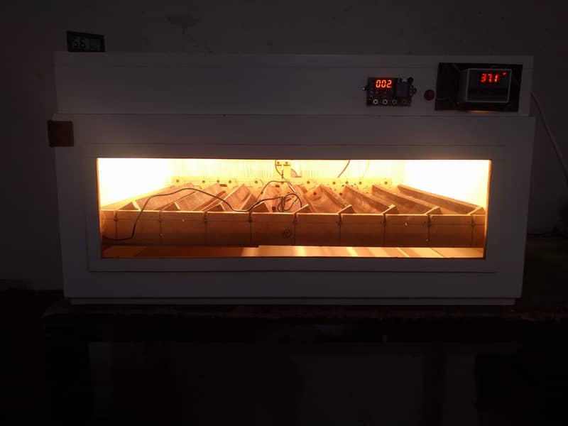 Automatic Incubators 3