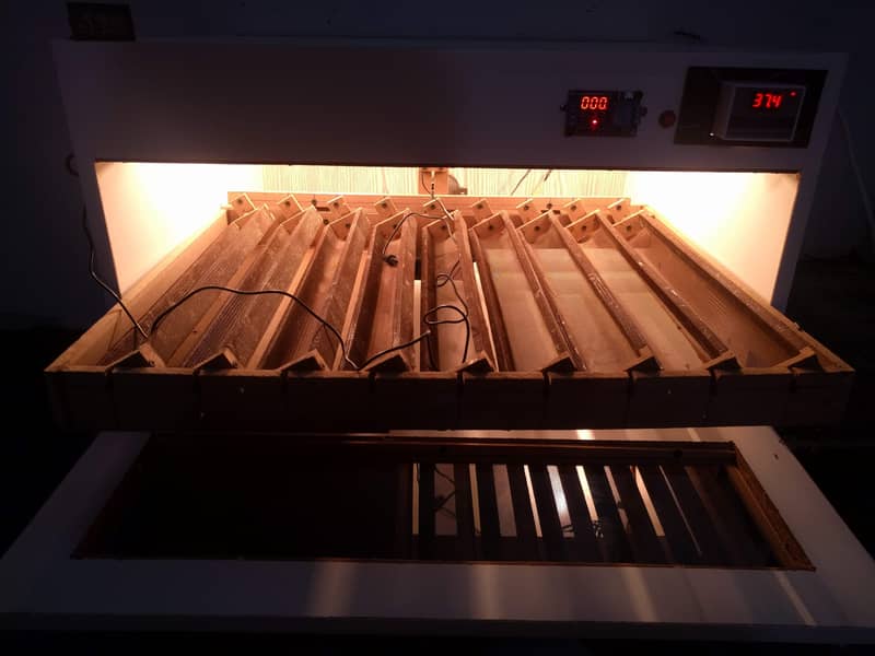 Automatic Incubators 4