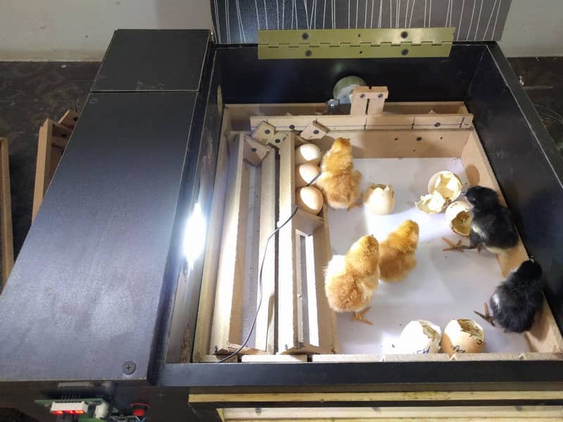 Automatic Incubators 9