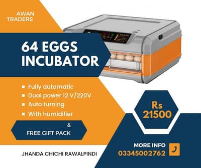 Orange series weqin incubators 2