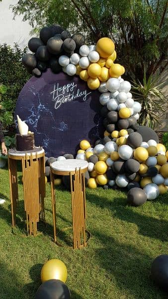 Balloons, Theme & Birthday Decor,catering,stage, Sound System, Lights 10