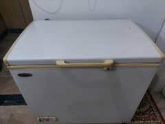 Waves Deep Freezer 10CFt (Selling due to less space)