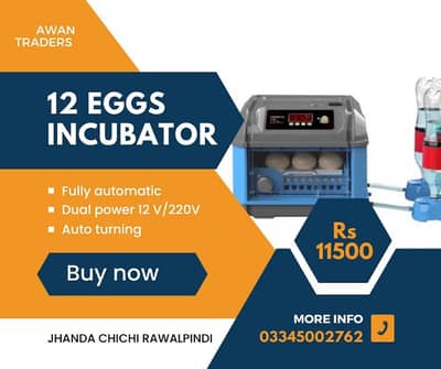 Weqin company 36 Eggs to 448 Eggs Dual powder Incubator's 13