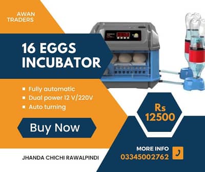 Orange series weqin incubators 1