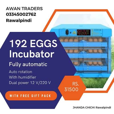 Orange series weqin incubators 18