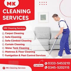 Sofa carpet cleaning services
