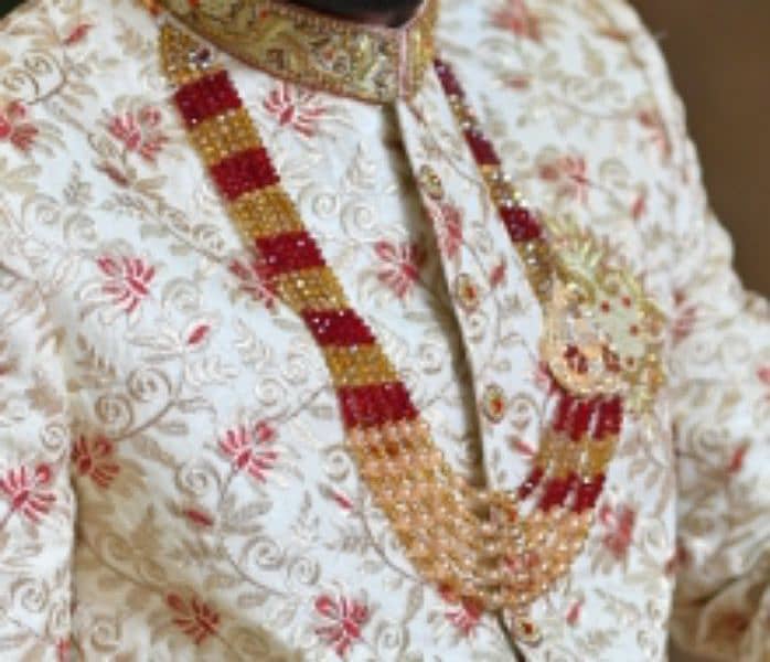 Sherwani 3