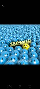 Zeeshan