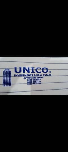 CONSULTANT