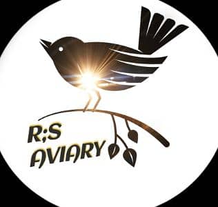 M.RASHID