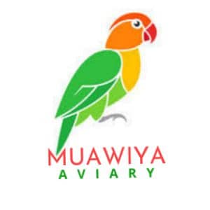 Muawiya