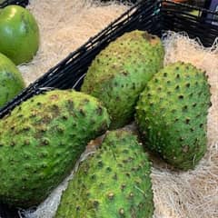 Soursop