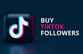 Tik Tok Real Followers not bots 1000% Real Tik Tok Instagram Likes and 0