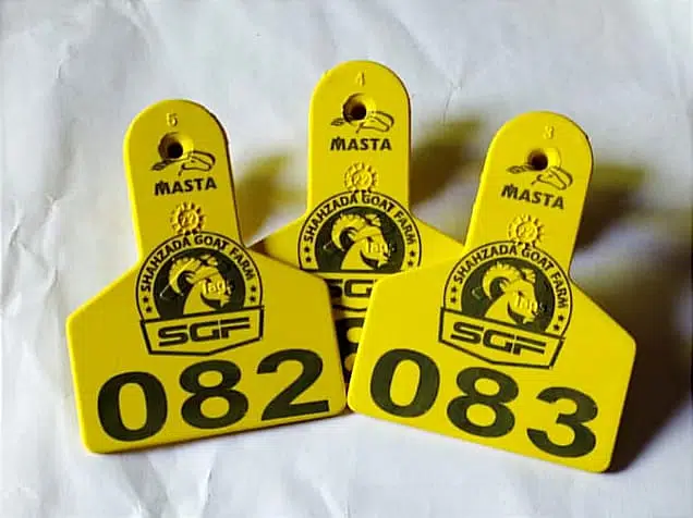 Cow Tag / Cattle Tag / Goat Tag / Ear Tag / Neck Tag / Tag for sale — photo 12