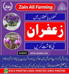 we have zafron Seeds in different sizes 03129442750 Zain Ali Farming