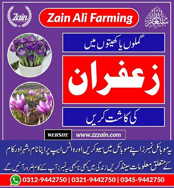 we have zafron Seeds in different sizes 03129442750 Zain Ali Farming 0